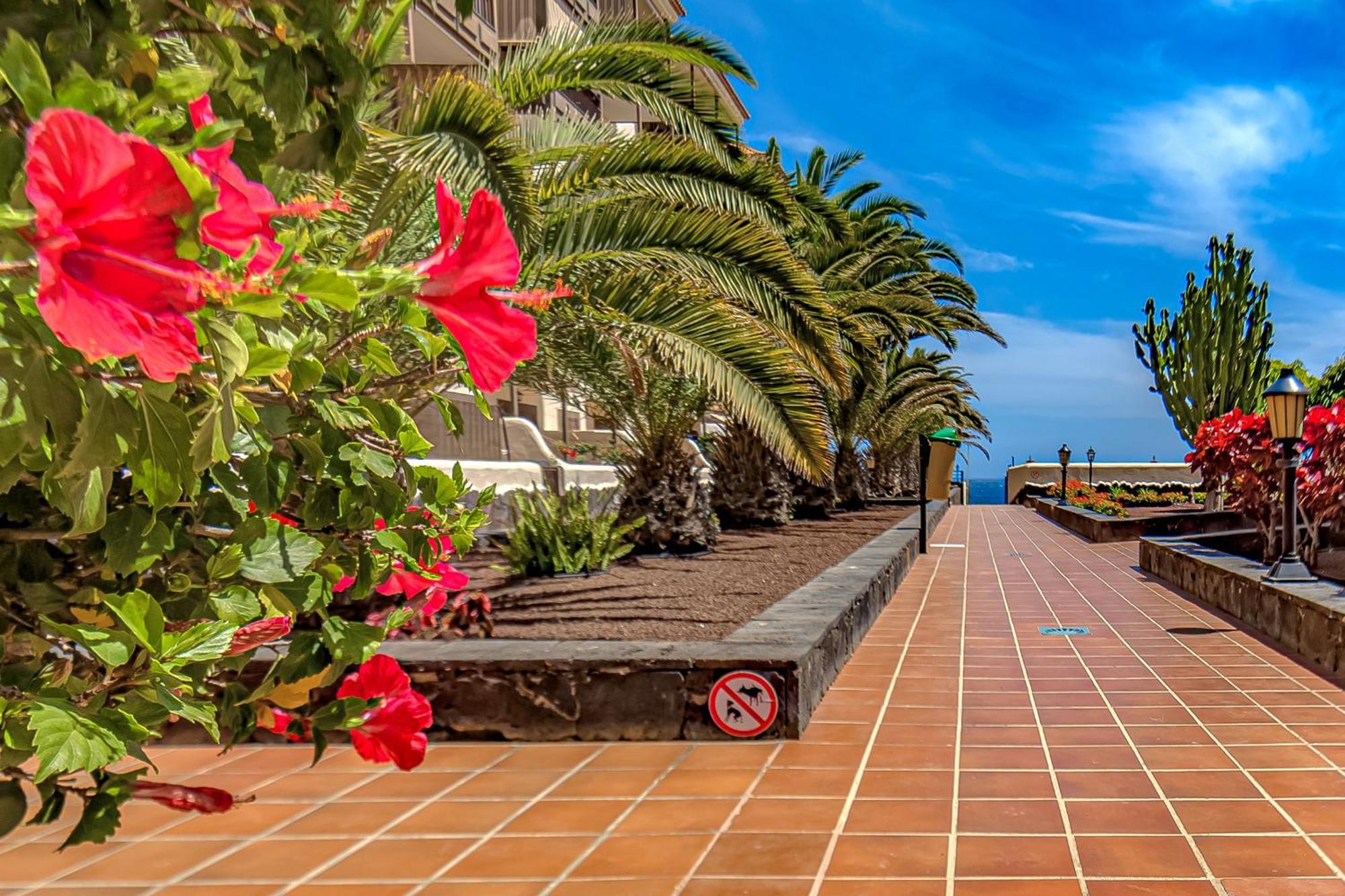 Atlantis 3 One Bedroom, Sea Front, In Complex With Pool Costa Del Silencio Esterno foto
